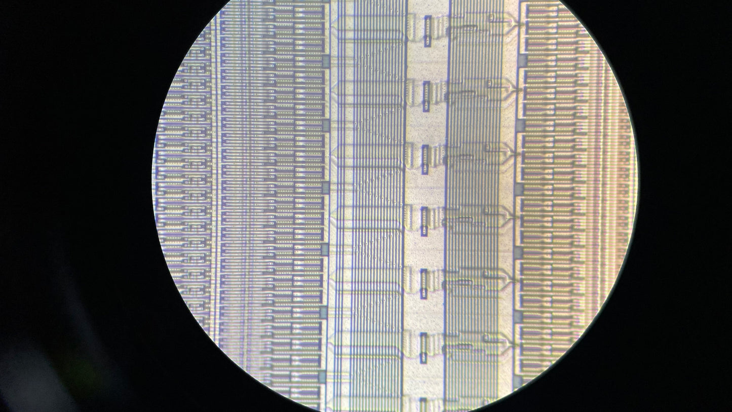 EOC GT-100 Digital Metallurgical Microscope